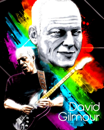 Buy David Gilmour Pink Floyd t shirt