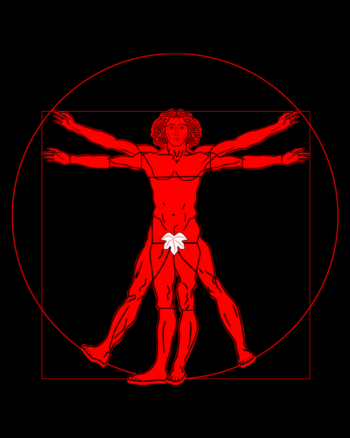 Vitruvian man