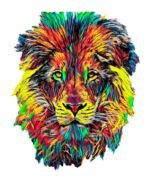 Lion illustration