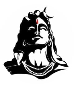 Shiva Graphic