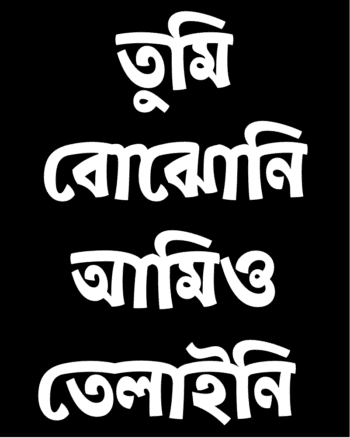 Funny Bengali quotation