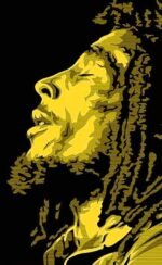 King of Reggae Bob Marley T shirt Buy Bob Marley Tees
