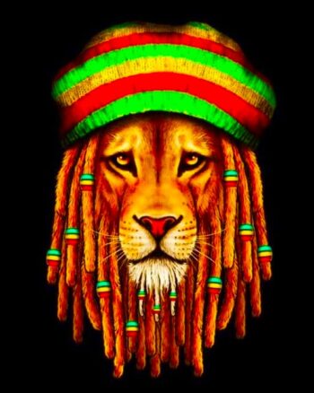 Buy Reggae Lion Black T shirt