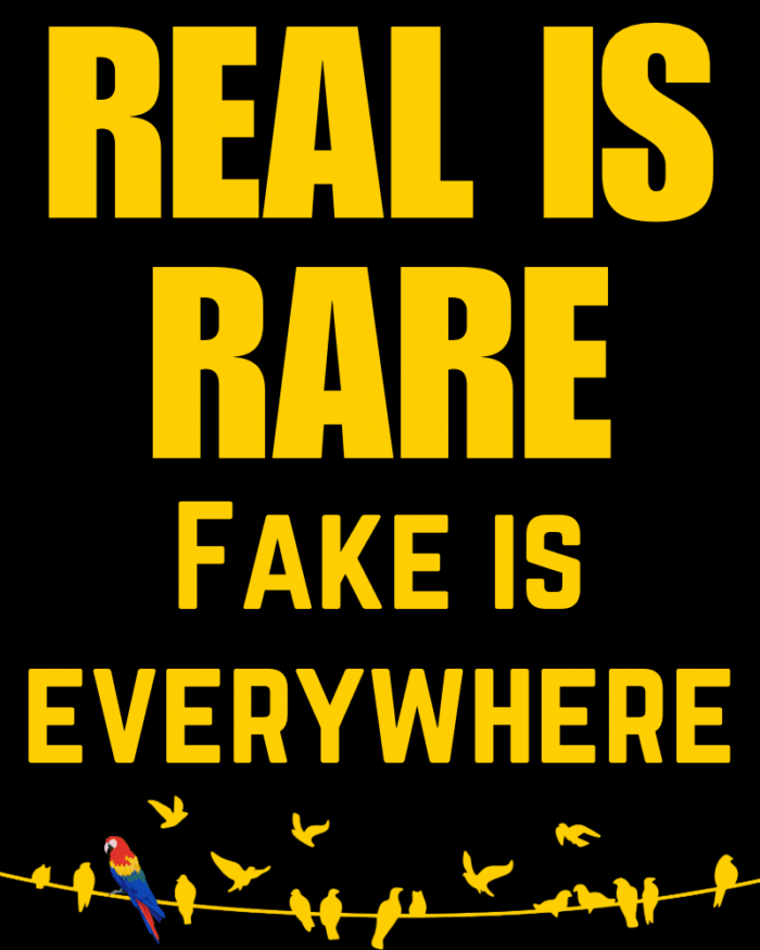 Real is Rare Fake is Everywhere Tshirt
