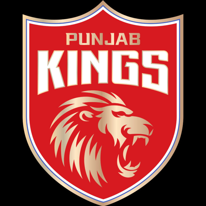 Punjab Kings T shirt