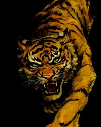 Buy Tiger print Black T shirt